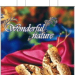 Ламинированный пакет с петлевой ручкой 23x29 «БАБОЧКА НА ШЕЛКЕ» (PP-00041)