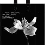 Пакет із петлевою ручкою чорно-білій 38×42 см «Орхидея»