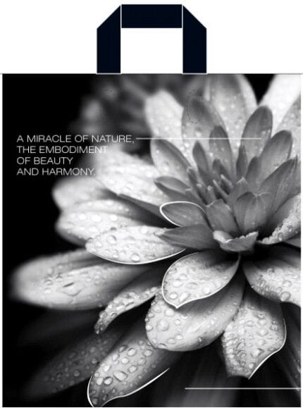 Пакет із петлевою ручкою чорно-білій 38×42 см «Жоржина»