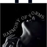 Пакет з петлевою ручкою чорно-білий 38×42 см «Гармония форм»