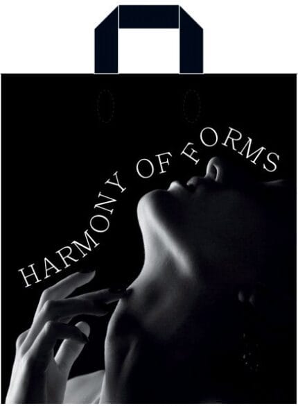 Пакет з петлевою ручкою чорно-білий 38×42 см «Гармония форм»