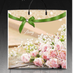 Пакет с пластиковой ручкой 258 Ливин (PR-00003)