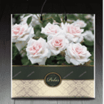 Пакет с пластиковой ручкой 582 Полар (PR-00005)