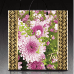 Пакет с пластиковой ручкой 591 Таис (PR-00006)