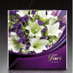 Пакет с пластиковой ручкой 615 Фиори (PR-00024)