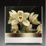 Пакет с пластиковой ручкой 631 Бриллианс (PR-00029)