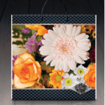 Пакет з пластиковою ручкою 636 Прожект (PR-00031)