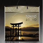 Пакет с пластиковой ручкой 666 Токио (PR-00033)