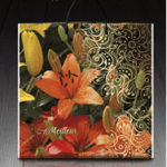 Пакет с пластиковой ручкой 668 Миллеруа (PR-00035)