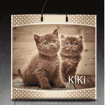 Пакет с пластиковой ручкой 711 Кики (PR-00039)