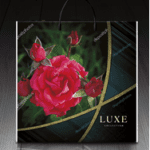 Пакет с пластиковой ручкой 726 Люкс (PR-00040)