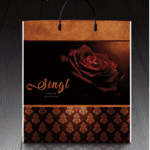 Пакет с пластиковой ручкой 738 Сингл (PR-00087)