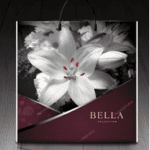 Пакет с пластиковой ручкой 750 Бэлла (PR-00044)