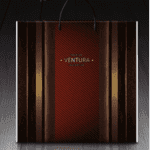 Пакет с пластиковой ручкой 785 Вентура (PR-00052)