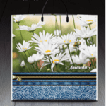 Пакет з пластиковою ручкою 808 Аманда (PR-00057)