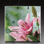 Пакет с пластиковой ручкой 818 Делисиус (PR-00061)