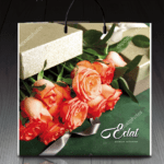 Пакет с пластиковой ручкой 836 Эклат (PR-00062)