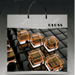 Пакет с пластиковой ручкой 855 Глосс (PR-00068)