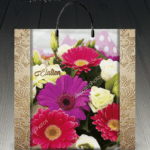 Пакет с пластиковой ручкой 858 Элатион (PR-00070)