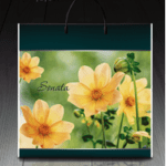 Пакет з пластиковою ручкою 885 Соната (PR-00071)