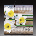 Пакет с пластиковой ручкой 895 Пичи (PR-00021)