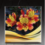 Пакет с пластиковой ручкой 896 Лобаль (PR-00074)