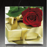 Пакет ламинированный с пластиковой ручкой 36x37 «0763 Подарочный» (PR-00106)