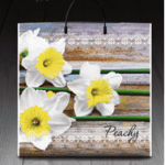 Пакет ламинированный с пластиковой ручкой 36x37 «0895 Пичи» (PR-00109)