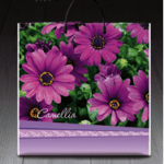 Пакет ламінований із пластиковою ручкою 40x40 «0887 Камелия» (PR-00130)