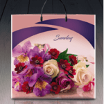 Пакет ламинированный с пластиковой ручкой 40x40 «1202 Сандей» (PR-00139)