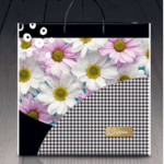 Пакет ламинированный с пластиковой ручкой 40x40 «1203 Санрайс» (PR-00140)