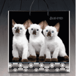 Пакет ламинированный с пластиковой ручкой 40x40 «1314 Котики» (PR-00152)