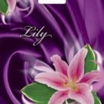 Пакет ламінований з прорізною ручкою 30х40 «ЛИЛИЯ» (PB-00005)