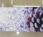 Пакет НГ «Звезда» 32*16*9 (NG-00004)